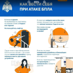 Фотодокумент 