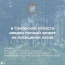 В связи с высоким классом пожарной опасности введен запрет на посещение лесов
