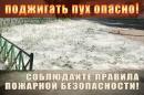 Тополиный пух - источник пожарной опасности!