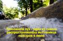 Тополиный пух - один из самых распространенных источников  пожаров в июне