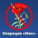 Сотрудники полиции МО МВД России «Похвистневский» напоминают, что с 16 по 25 августа 2024 года проводится второй этап оперативно профилактиче