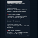 Аферисты вовлекают в преступные схемы молодежь и подростков, обещая безопасную и легальную работу