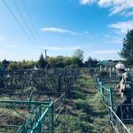 Субботники в сельском поселении