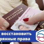  Что делать, если потеряли водительские права? Рассказываем, как быстро восстановить документ.
